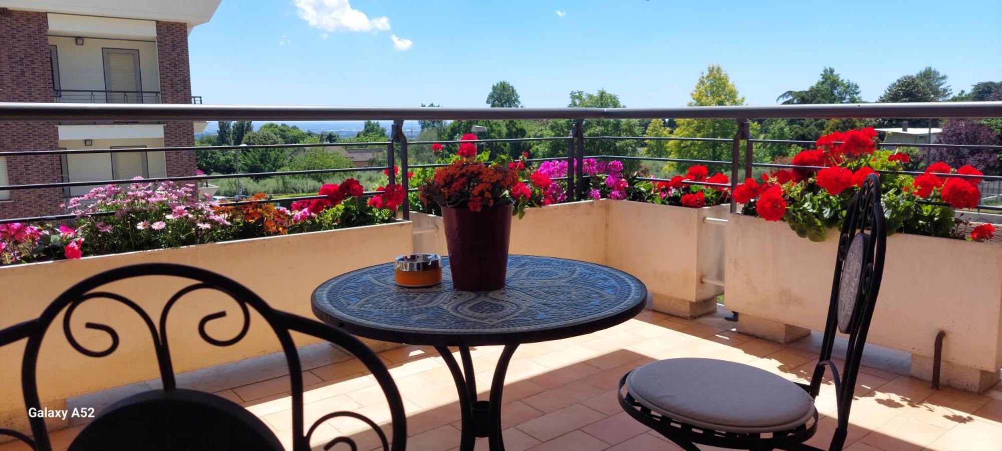 Relax & Business Luxury Apartment Velletri Eksteriør bilde